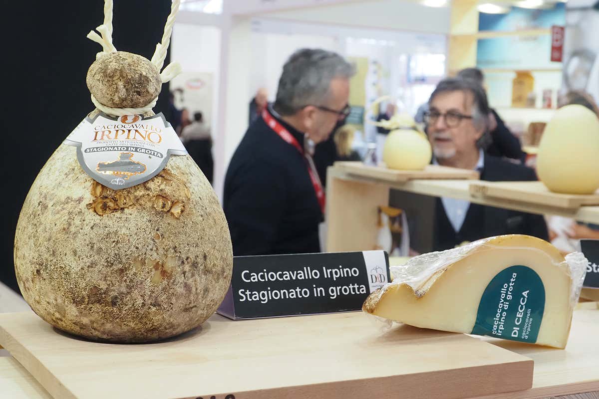 Tra espositori e padiglioni: cosa aspettarsi da Marca 2026 a BolognaFiere Tra espositori e padiglioni: cosa aspettarsi da Marca 2026 a BolognaFiere