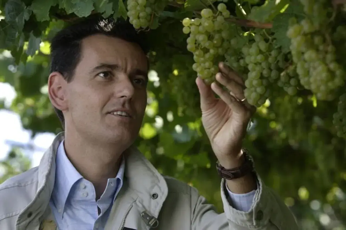 Marcello Lunelli, uno dei protagonisti delle interviste realizzate da Paolo Brinis Camici bianchi e calici divini. La medicina si interroga sulla passione per il vino