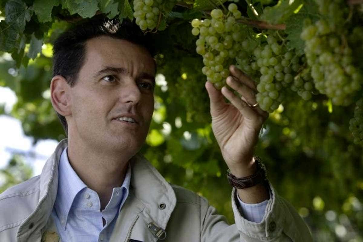 Marcello Lunelli, uno dei protagonisti delle interviste realizzate da Paolo Brinis Camici bianchi e calici divini. La medicina si interroga sulla passione per il vino