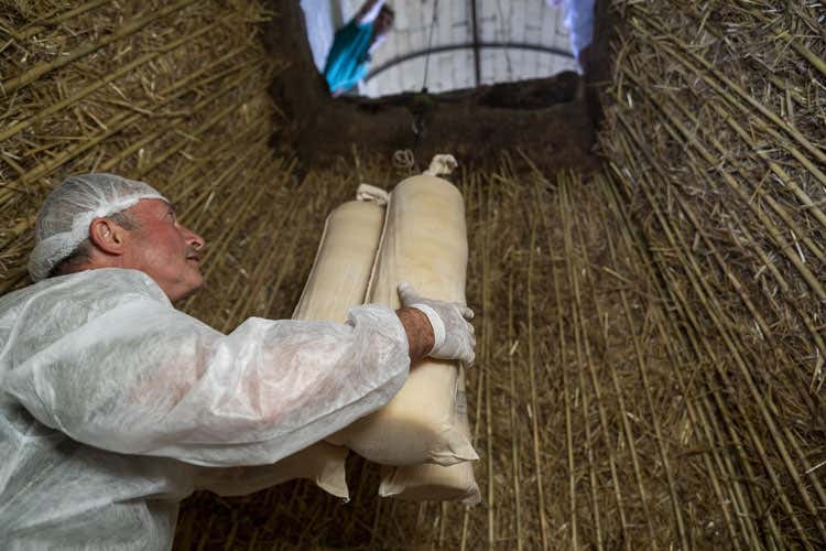L'infossatura del formaggio - Marche, una terra di eccellenze E a ottobre torna la fiera del tartufo L'infossatura del formaggio - Marche, una terra di eccellenze E a ottobre torna la fiera del tartufo