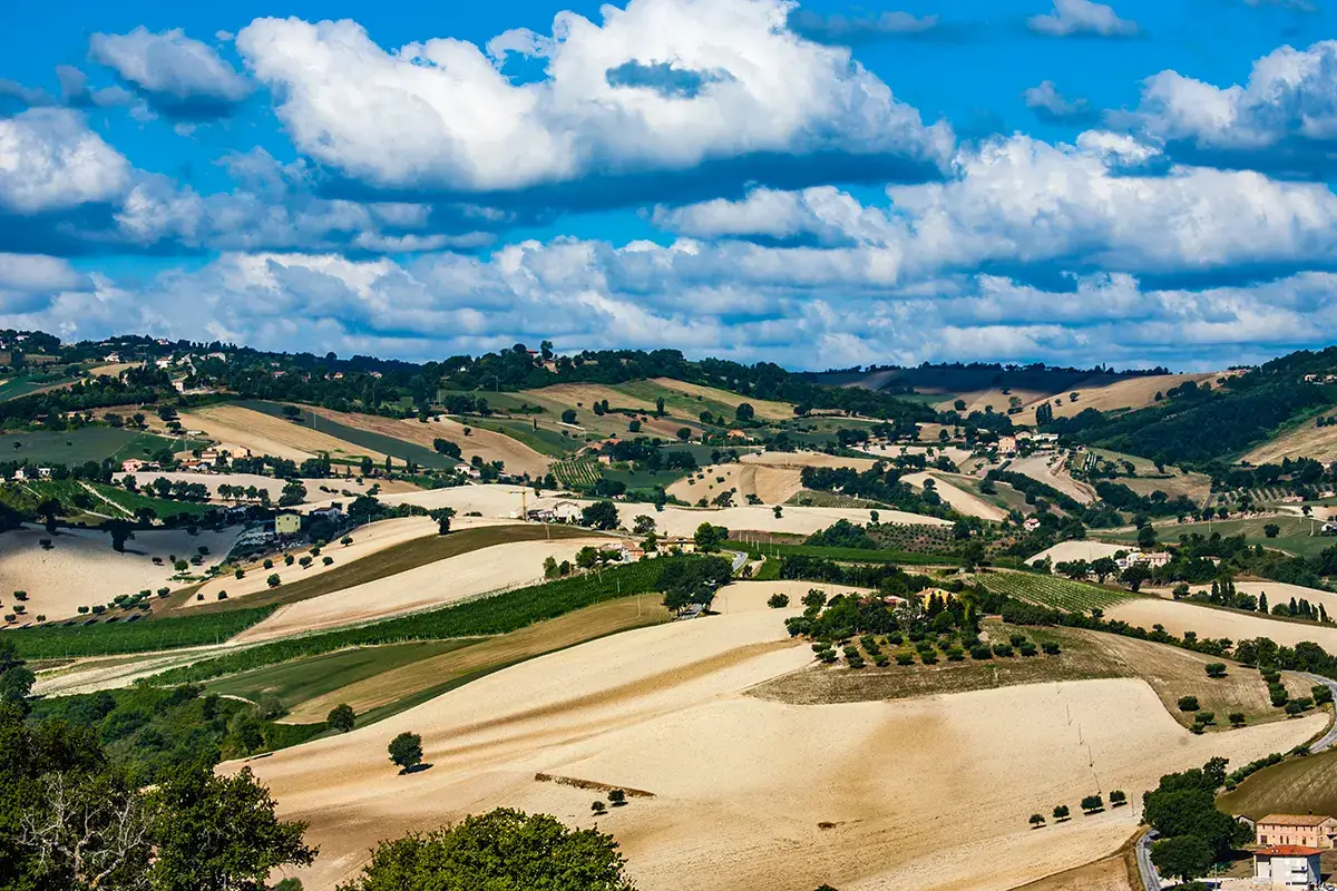 La meraviglia delle colline marchigiane Grand Tour delle Marche Sei mesi di eccellenze regionali