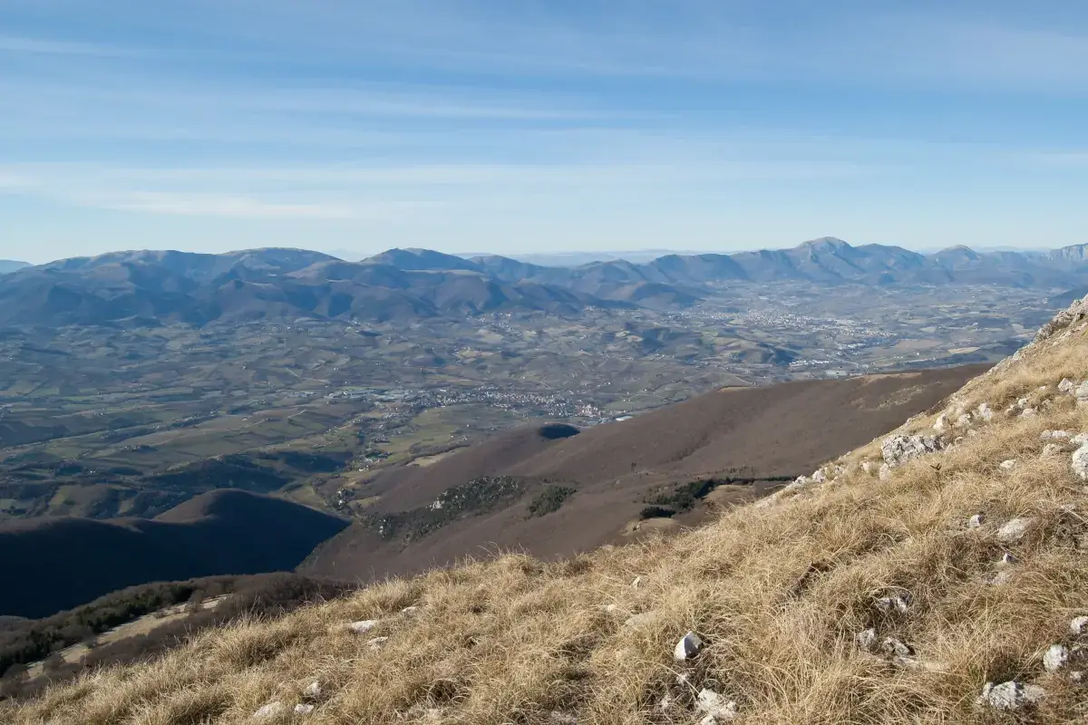 Il mondo del tartufo. Reminiscenze regionali: le Marche