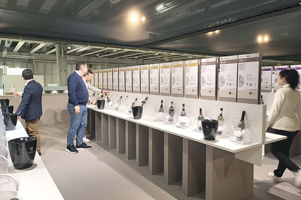 La sfida della sostenibilità per l'Istituto Marchigiano di Tutela Vini