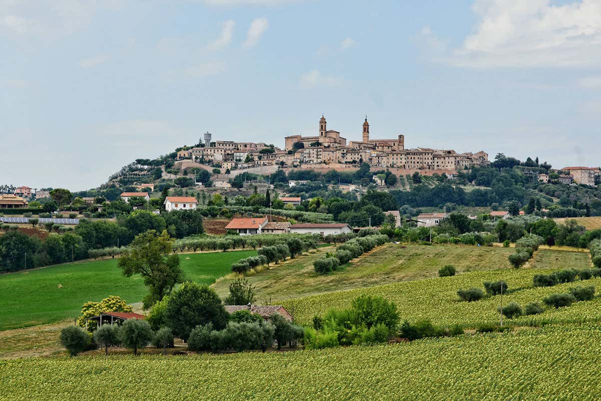 Nelle Marche il mondo agroalimentare rappresenta il 14% del Pil Le Marche puntano all&rsquo;enoturismo con una normativa dedicata al settore