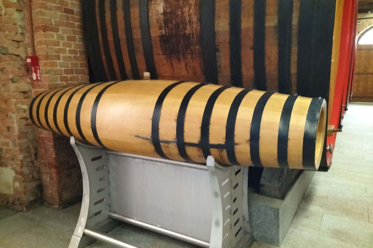 Una giornata nelle Cantine Storiche dei Marchesi di Barolo