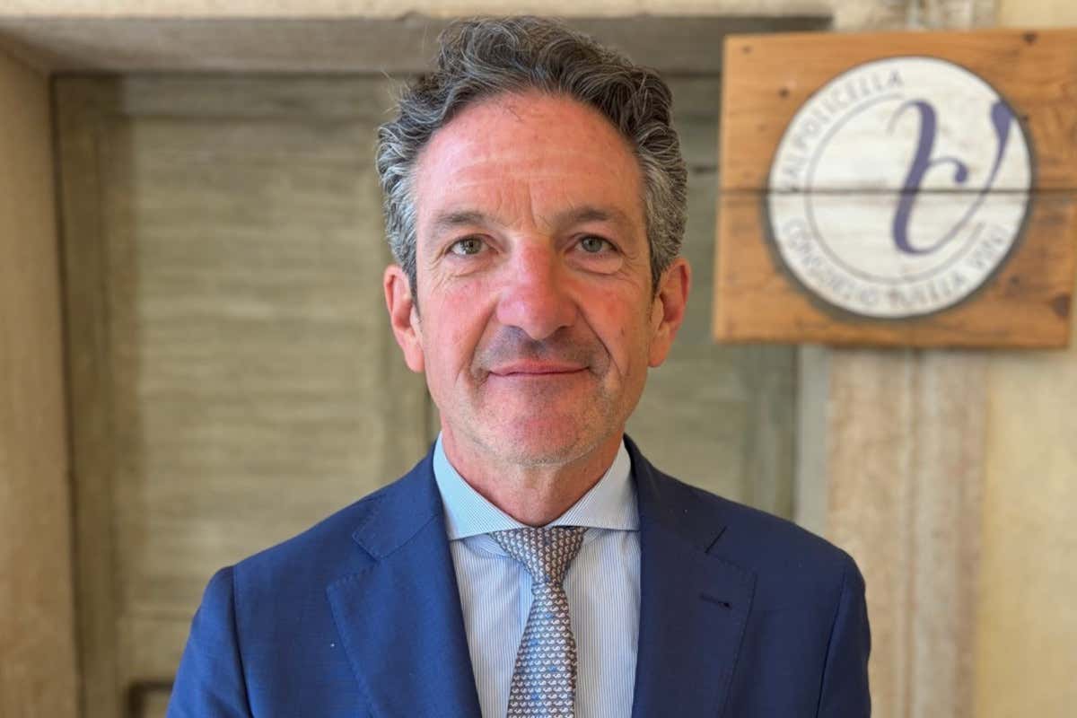 Consorzio tutela vini Valpolicella, Christian Marchesini confermato presidente Christian Marchesini confermato presidente del Consorzio tutela vini Valpolicella