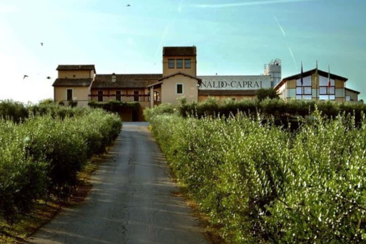 Una panoramica dell'azienda Arnaldo Caprai Marco Caprai presenta in anteprima l’annata 2019 dei Sagrantini