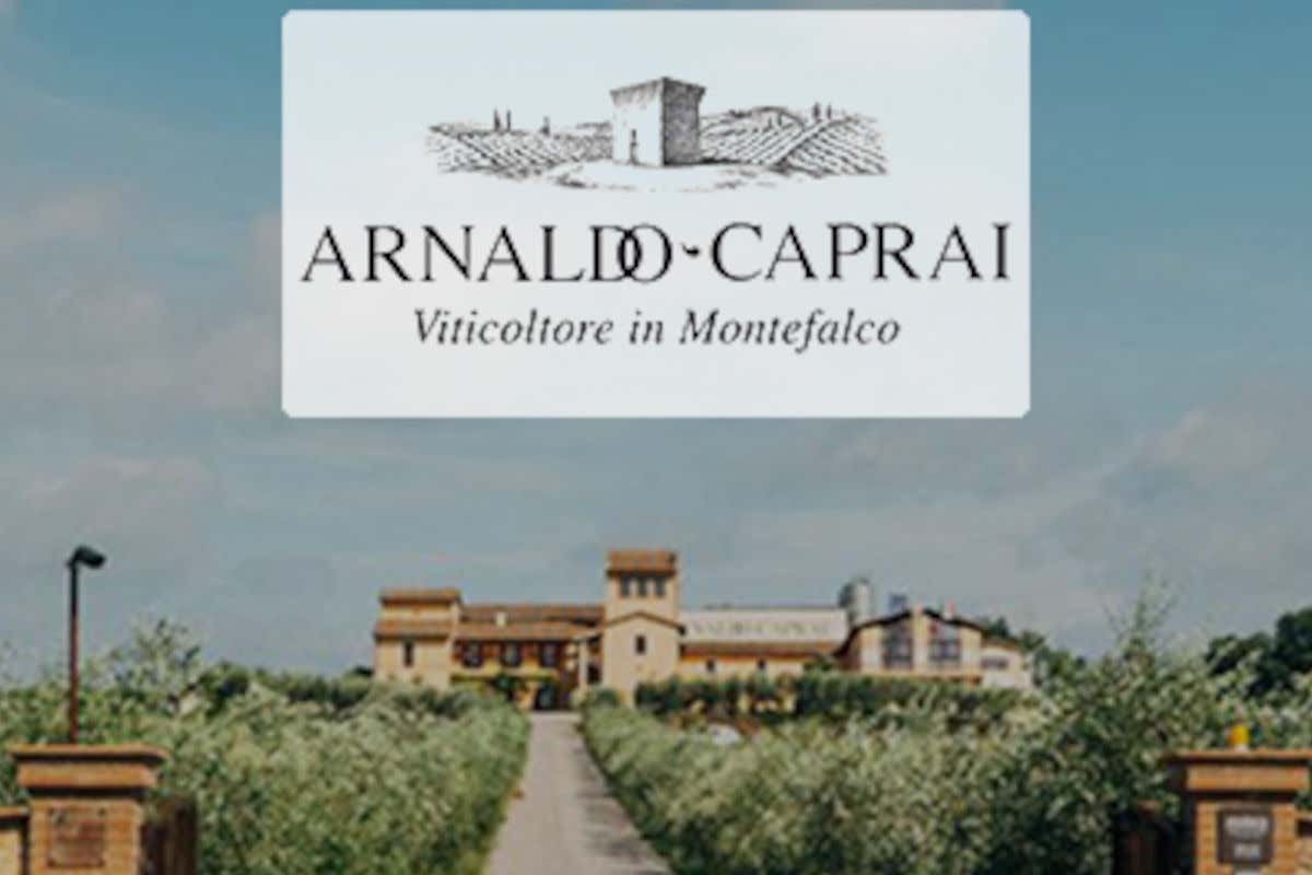 La presentazione dell'azienda Arnaldo Caprai Marco Caprai presenta in anteprima l’annata 2019 dei Sagrantini