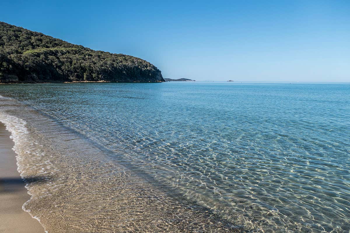 Cala Violina, una delle migliori spiagge di tutta la Maremma Toscana 5 Vele per Toscana e Sardegna, qui il miglior mare per Legambiente Cala Violina, una delle migliori spiagge di tutta la Maremma Toscana 5 Vele per Toscana e Sardegna, qui il miglior mare per Legambiente
