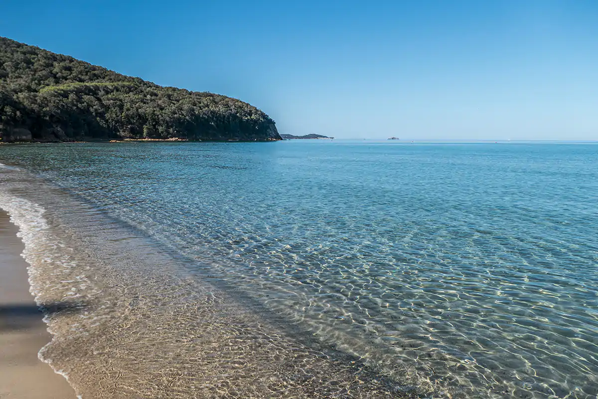 Cala Violina, una delle migliori spiagge di tutta la Maremma Toscana 5 Vele per Toscana e Sardegna, qui il miglior mare per Legambiente