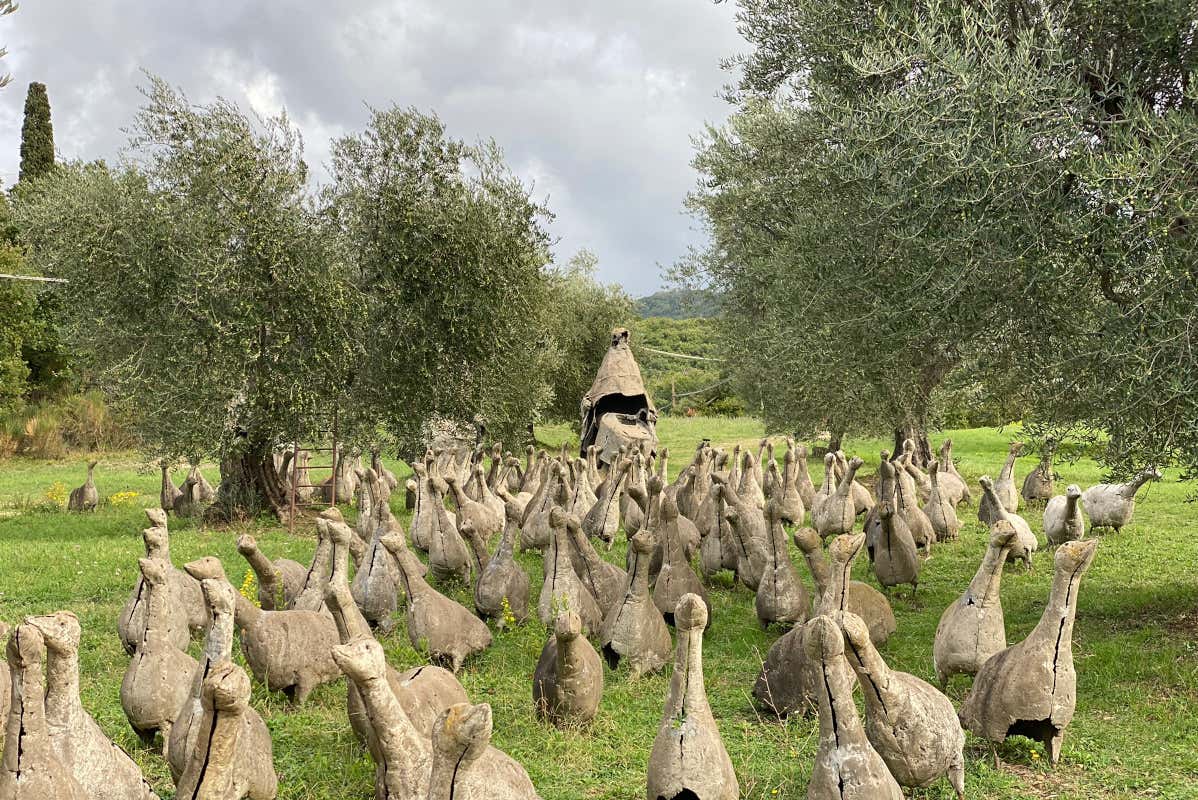 Il giardino delle oche Maremma Toscana, perla italiana con vocazione al turismo sostenibile