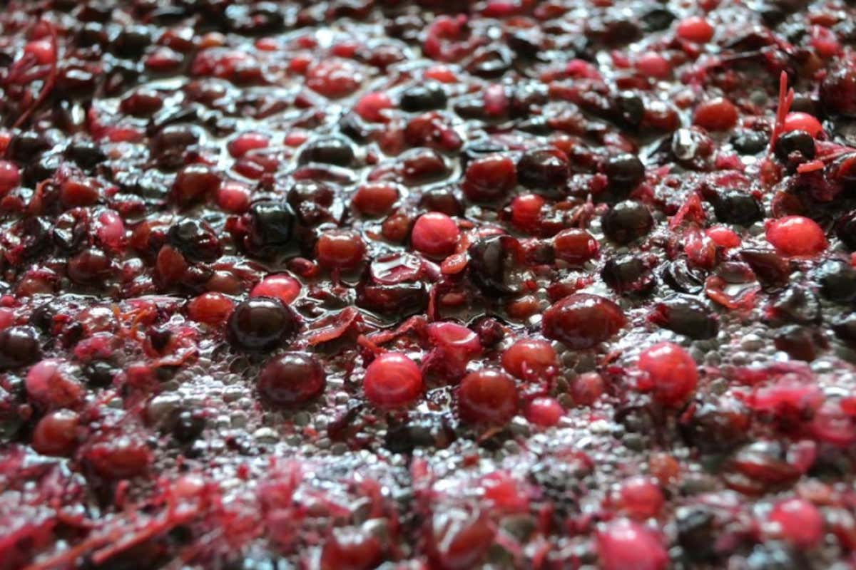 Da una cantina siciliana arrivano due nuovi vini con alcol ridotto in vigna