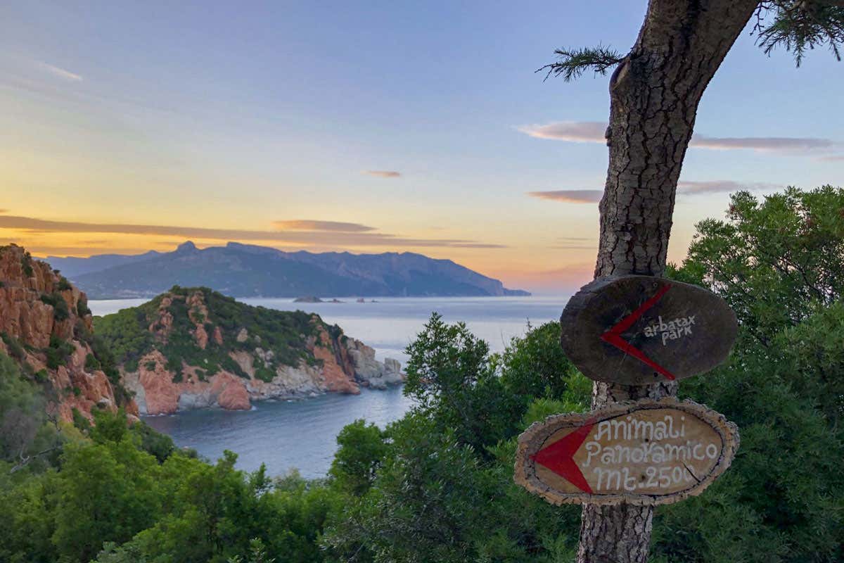 In Sardegna c'è un resort dove natura, benessere e animali selvatici convivono