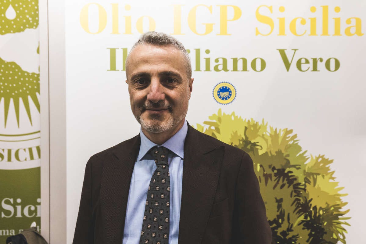 La Sicilia del vino e dell'olio tra unicità, biodiversità e sostenibilità