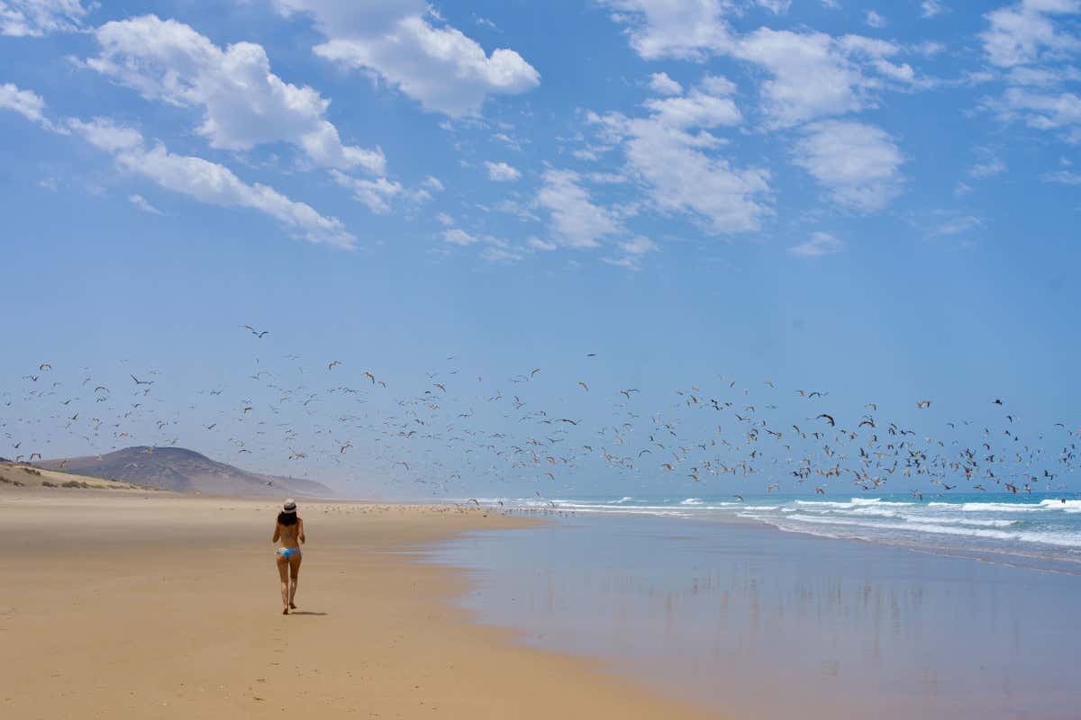 Spiagge desolate di fronte La Fiermontina Ocean (foto E. Ferramosca) La Fiermontina Ocean: eco ritiro tra campagna e oceano