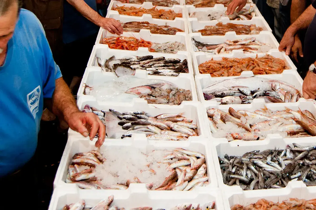 Marpesca Dalla &lsquo;nduja alla liquirizia, dal formaggio al pesce: Calabria, terra di eccellenze