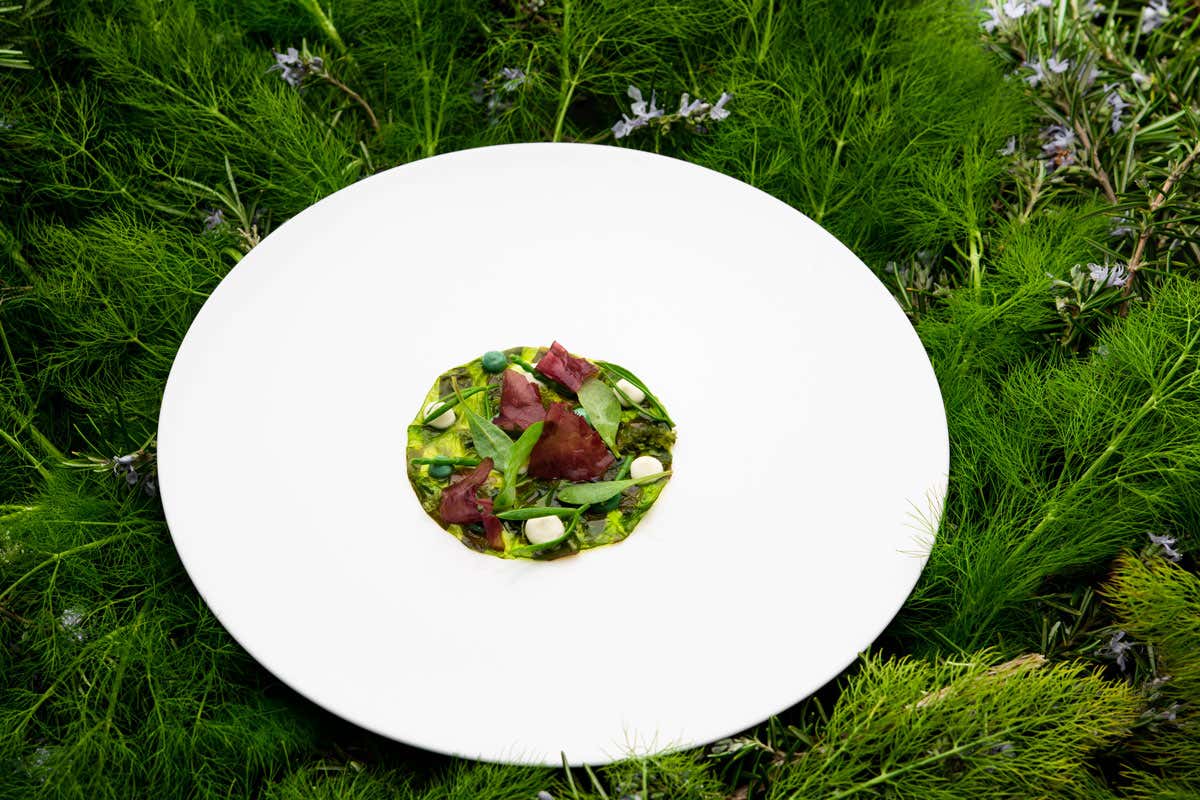 Un'esperienza senza pari: apre Agli Amici Dopolavoro, il ristorante di JW Marriott Venice Resort