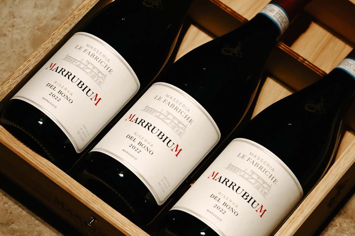 Il “signore degli spumanti” sbarca in Puglia e firma un Primitivo sorprendente Il “signore degli spumanti” sbarca in Puglia e firma un Primitivo sorprendente