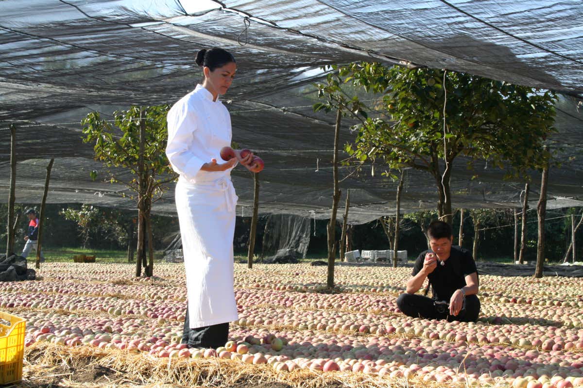 «La cucina non è sacrificio, è vita»: la lezione di Rosanna Marziale «La cucina non è sacrificio, è vita»: la lezione di Rosanna Marziale