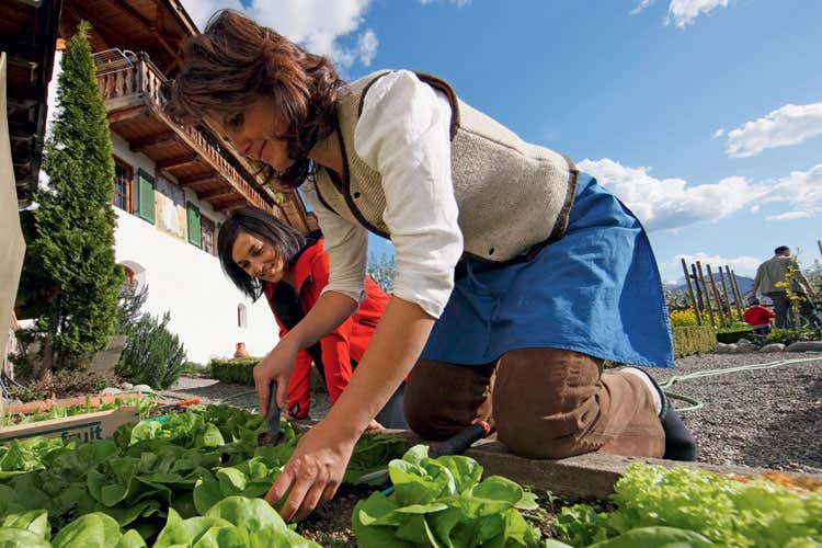 Vita nei masi del Gallo Rosso - Alto Adige, una vacanza nei masi fra tradizioni alpine e mediterranee