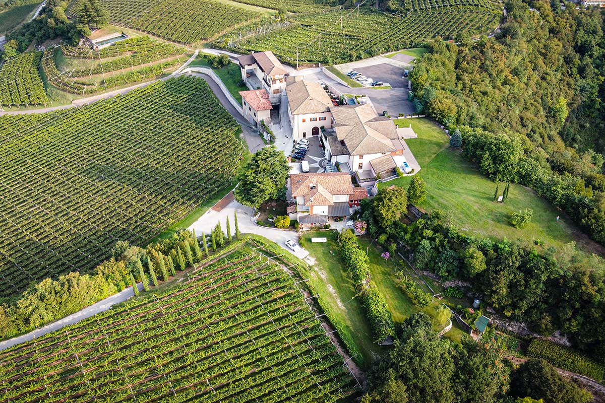 Maso Warth, vigneti e bosco - Foto Franz Perini Moser Trento presenta Blauen Blanc de Noirs Extra Brut 2015