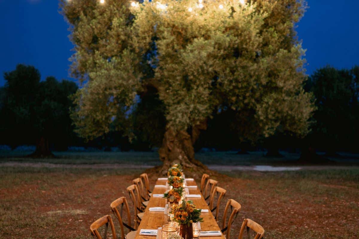 La Masseria Le Carrube, una vacanza per assaporare l'autenticità della Puglia