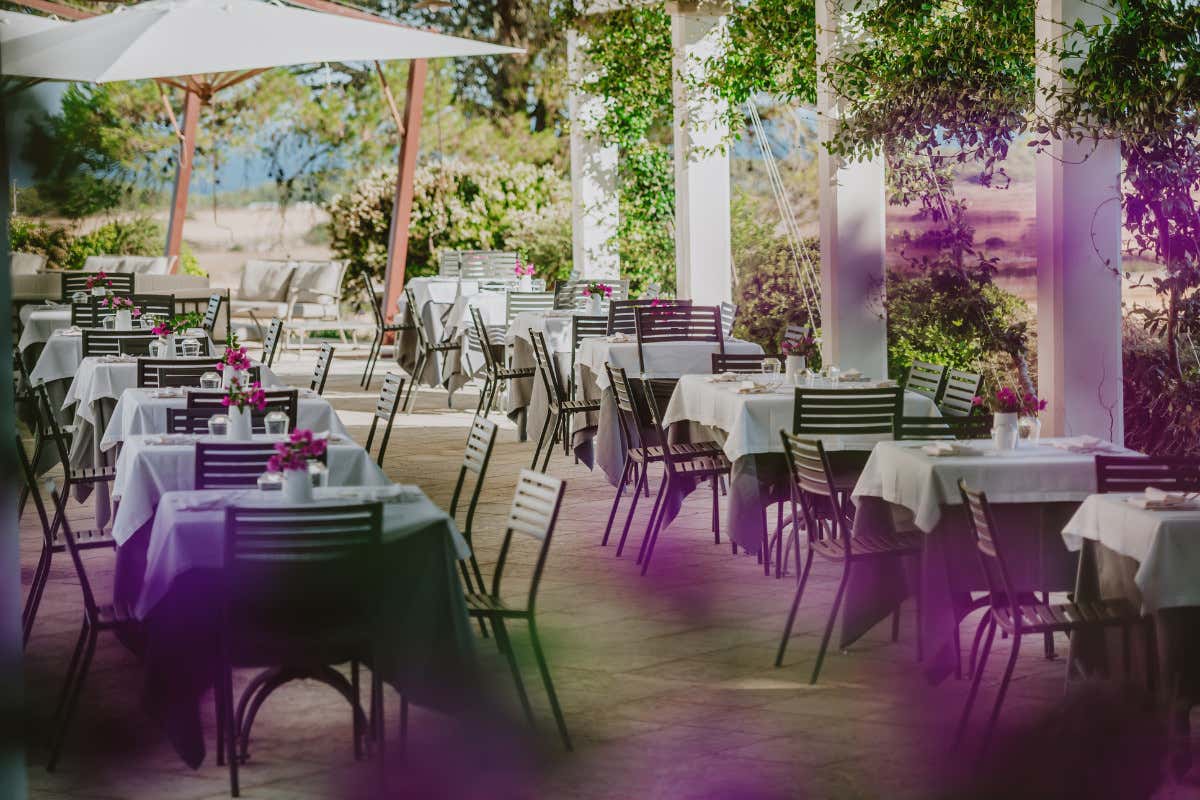 Masseria Panareo: tradizione salentina tra mare e memoria Masseria Panareo: tradizione salentina tra mare e memoria