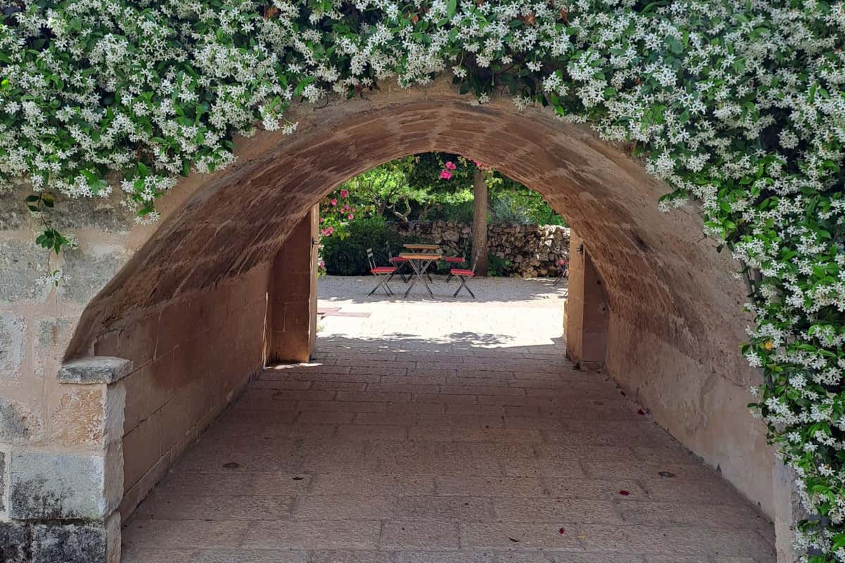 £$Forum in masseria$£, da Bruno Vespa incontri tra politica e cucina