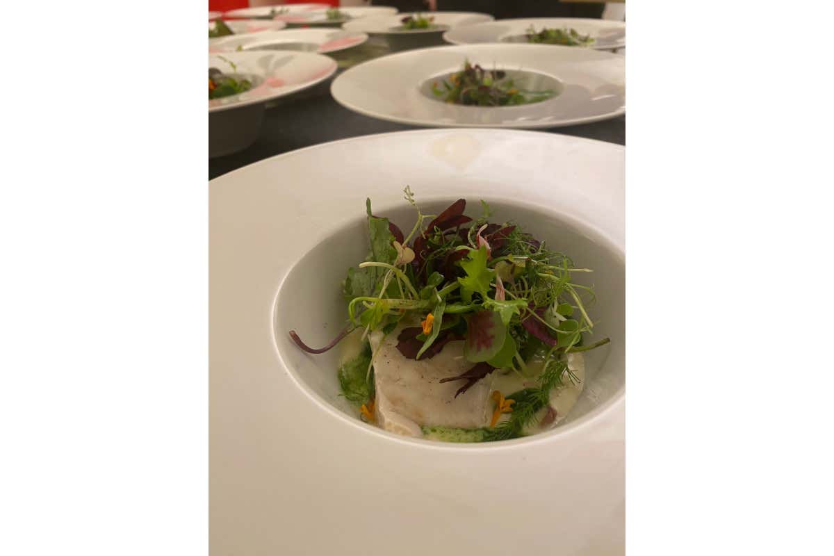 £$Forum in masseria$£, da Bruno Vespa incontri tra politica e cucina