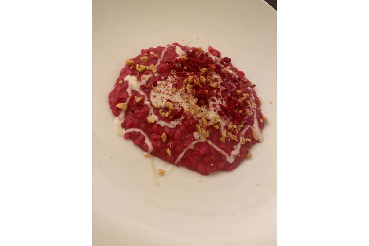 £$Forum in masseria$£, da Bruno Vespa incontri tra politica e cucina