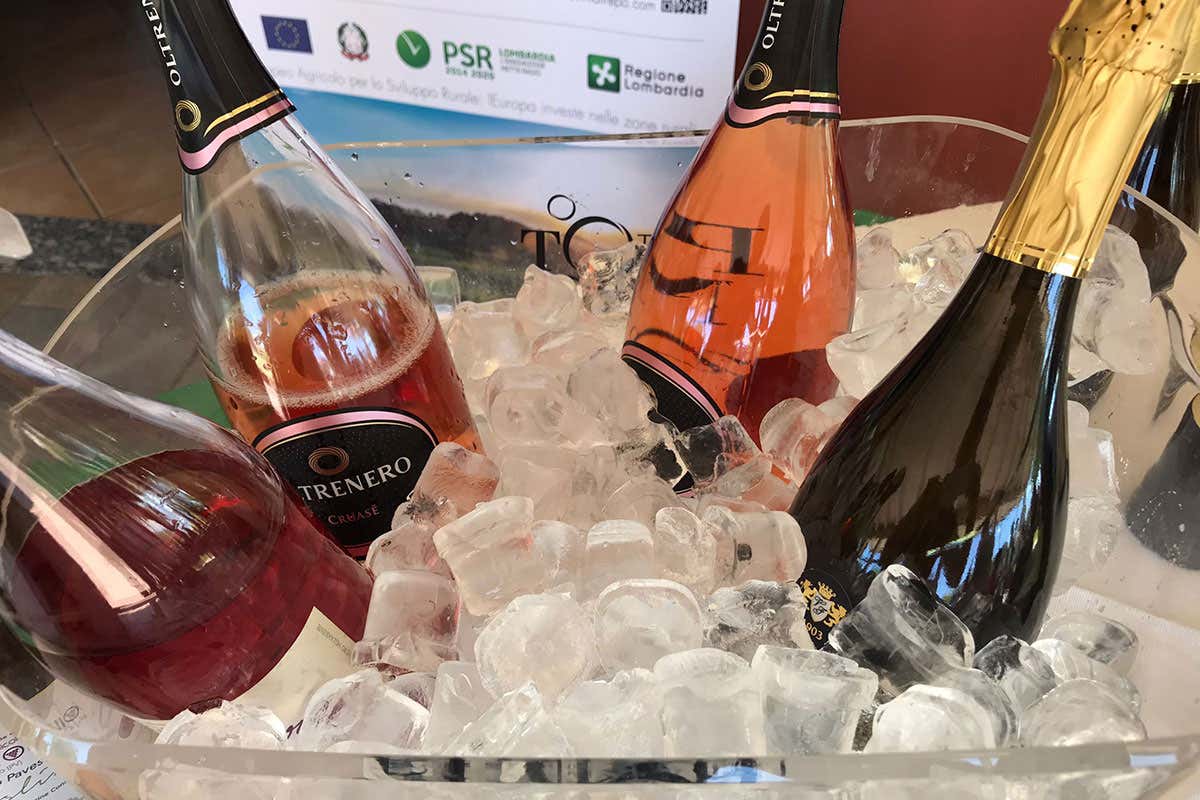 Oltrep&ograve;, terra di vino e di ciclismo Al Giro le eccellenze del territorio