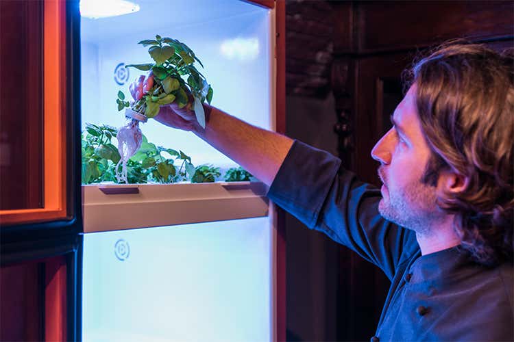(Matteo Rizzo ha scelto Tomato «Un valore aggiunto per il ristorante») (Matteo Rizzo ha scelto Tomato «Un valore aggiunto per il ristorante»)