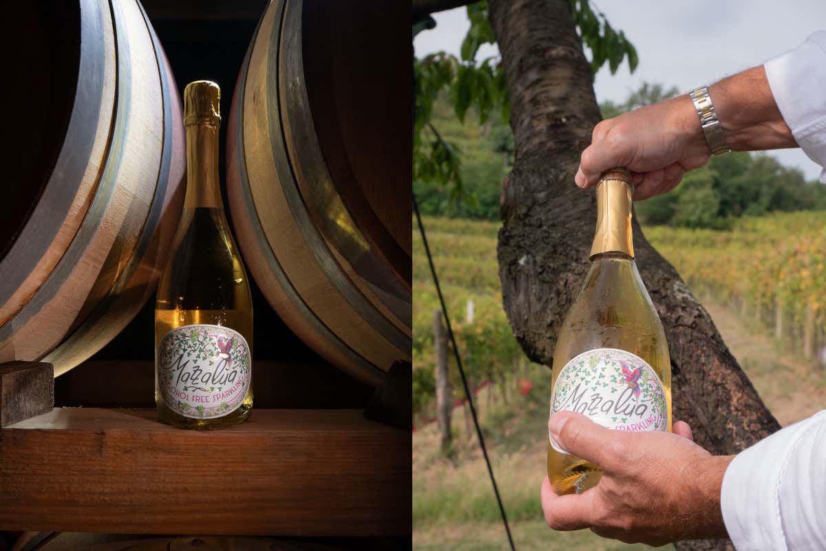 “Champagne d'aceto senz'alcol”, che pasticcio: Rossana Bettini Illy smentisce tutti