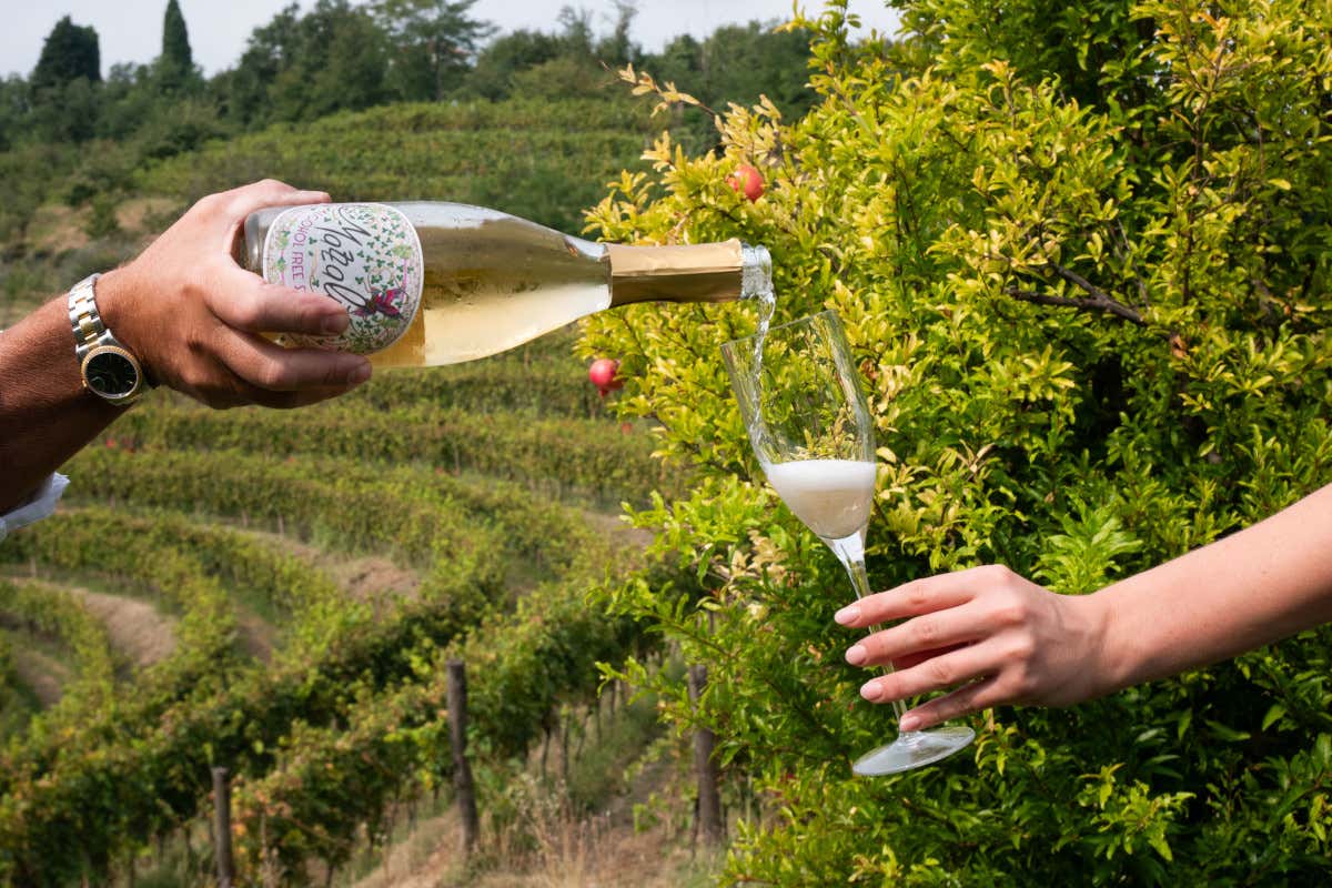 “Champagne d'aceto senz'alcol”, che pasticcio: Rossana Bettini Illy smentisce tutti