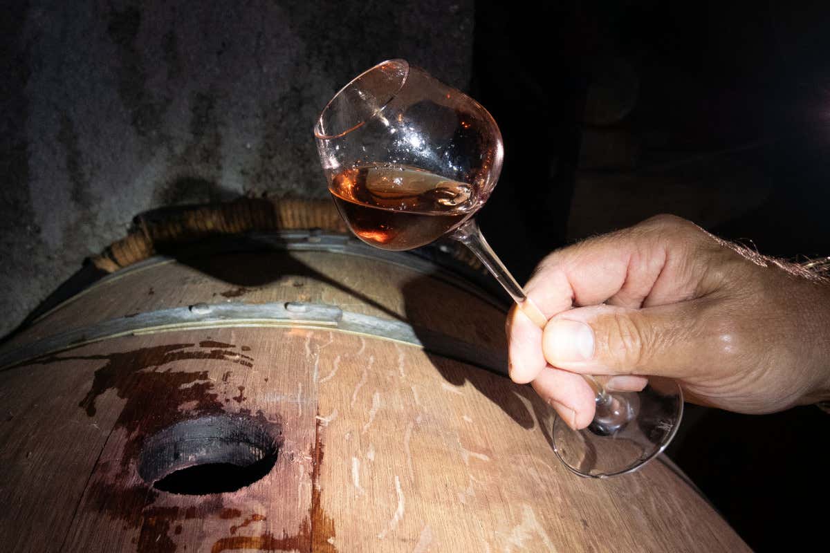 “Champagne d'aceto senz'alcol”, che pasticcio: Rossana Bettini Illy smentisce tutti