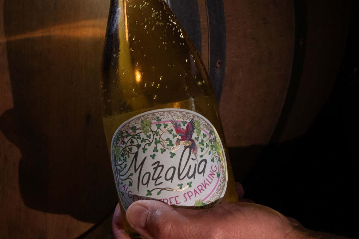 “Champagne d'aceto senz'alcol”, che pasticcio: Rossana Bettini Illy smentisce tutti