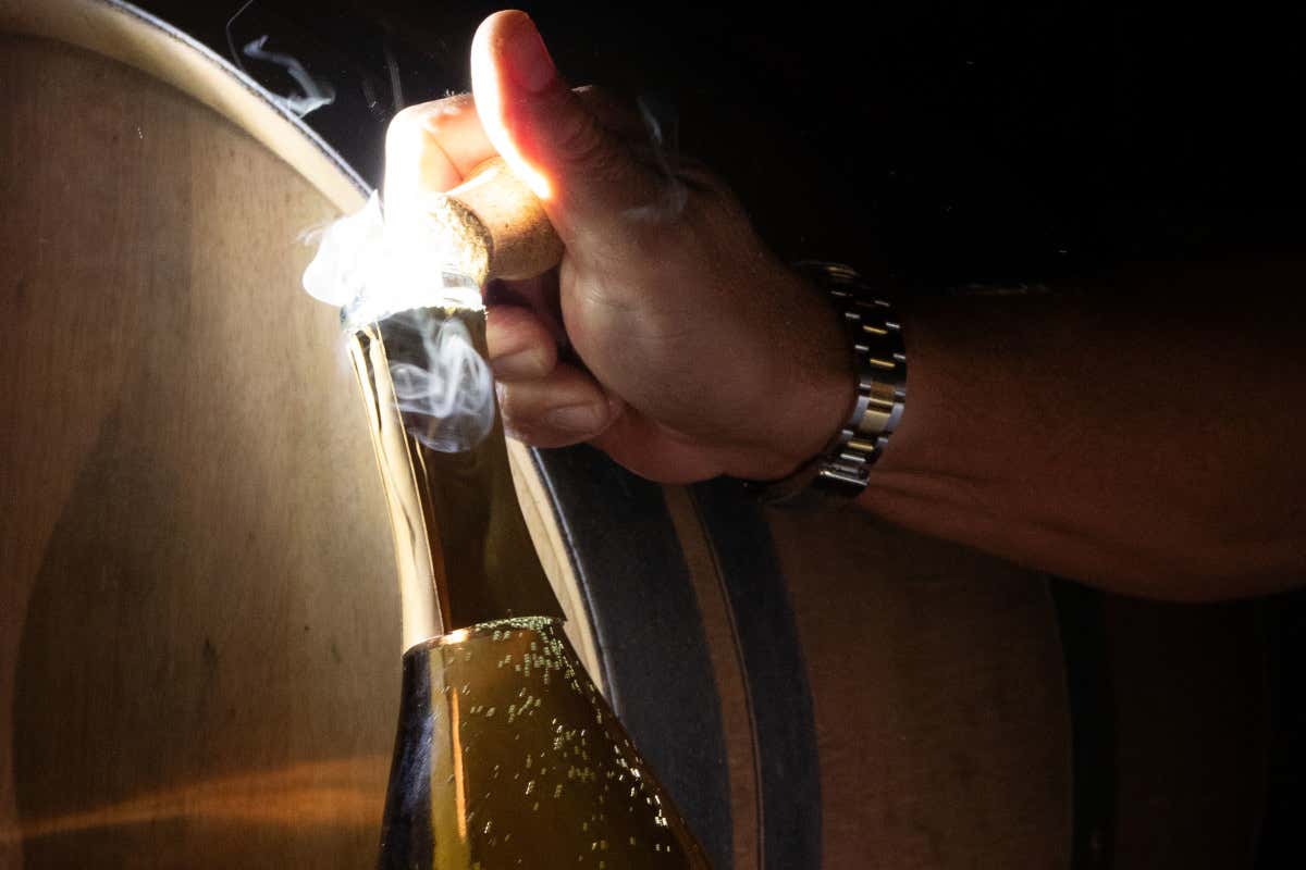 “Champagne d'aceto senz'alcol”, che pasticcio: Rossana Bettini Illy smentisce tutti