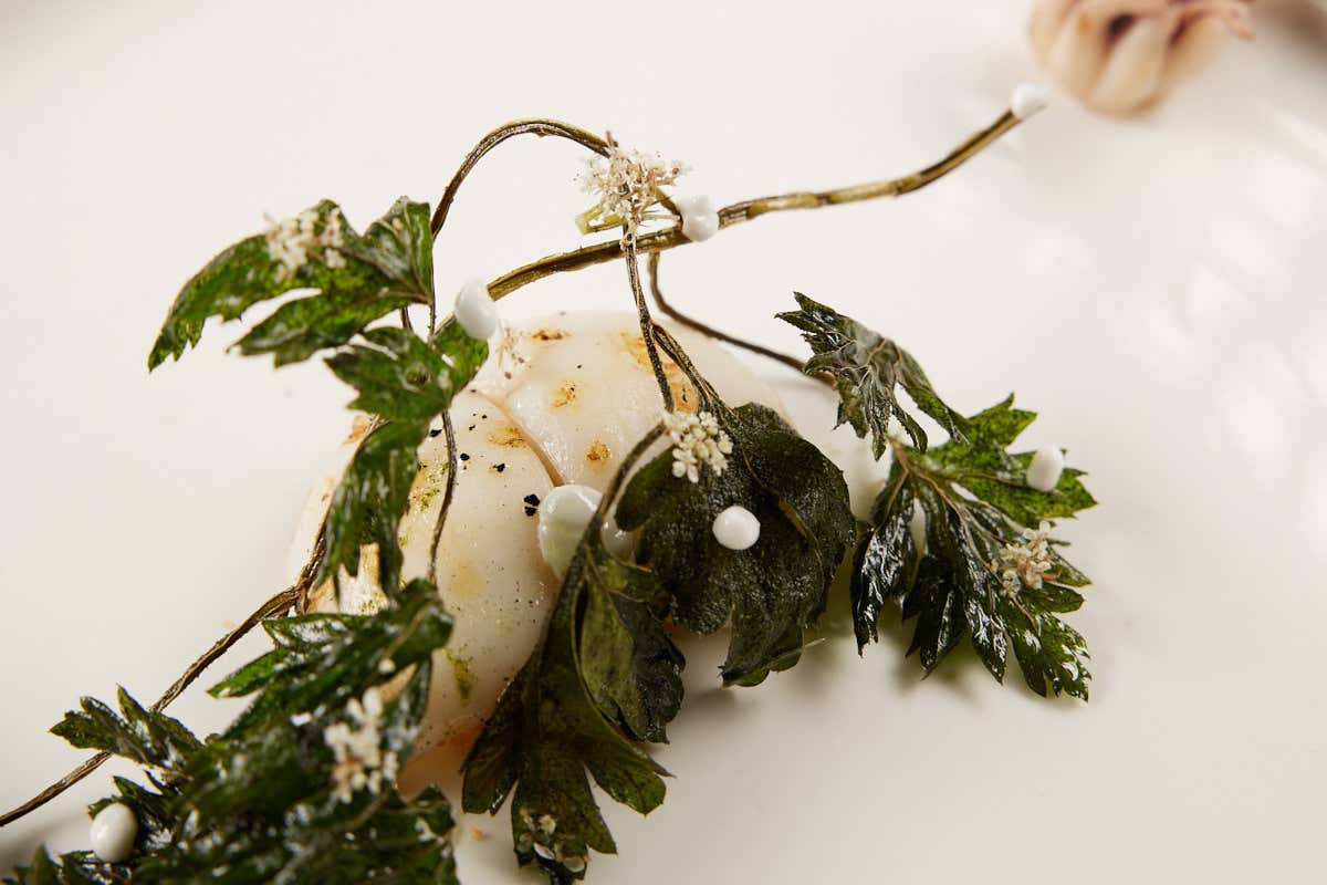 Alcuni piatti di Enrico Mazzaroni La prima stella di Enrico Mazzaroni, storia di una rinascita