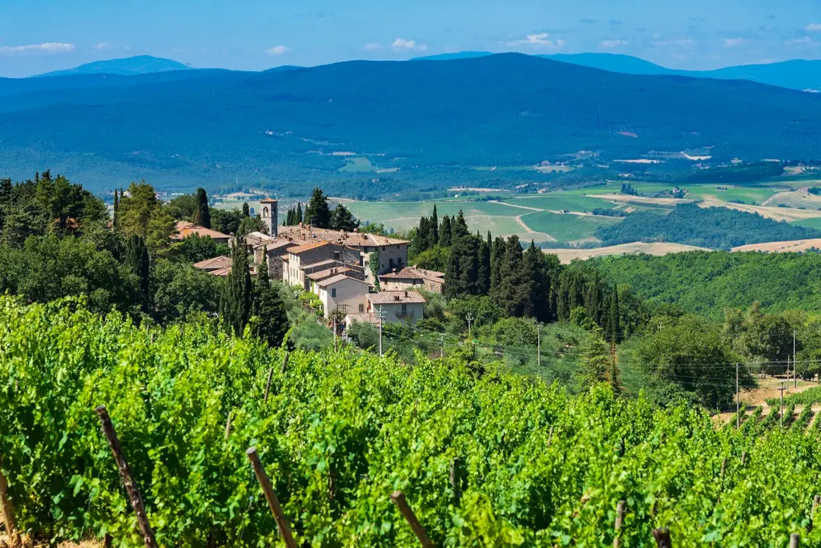 La tenuta della famiglia Mazzei Castello di Fonterutoli, ecco il