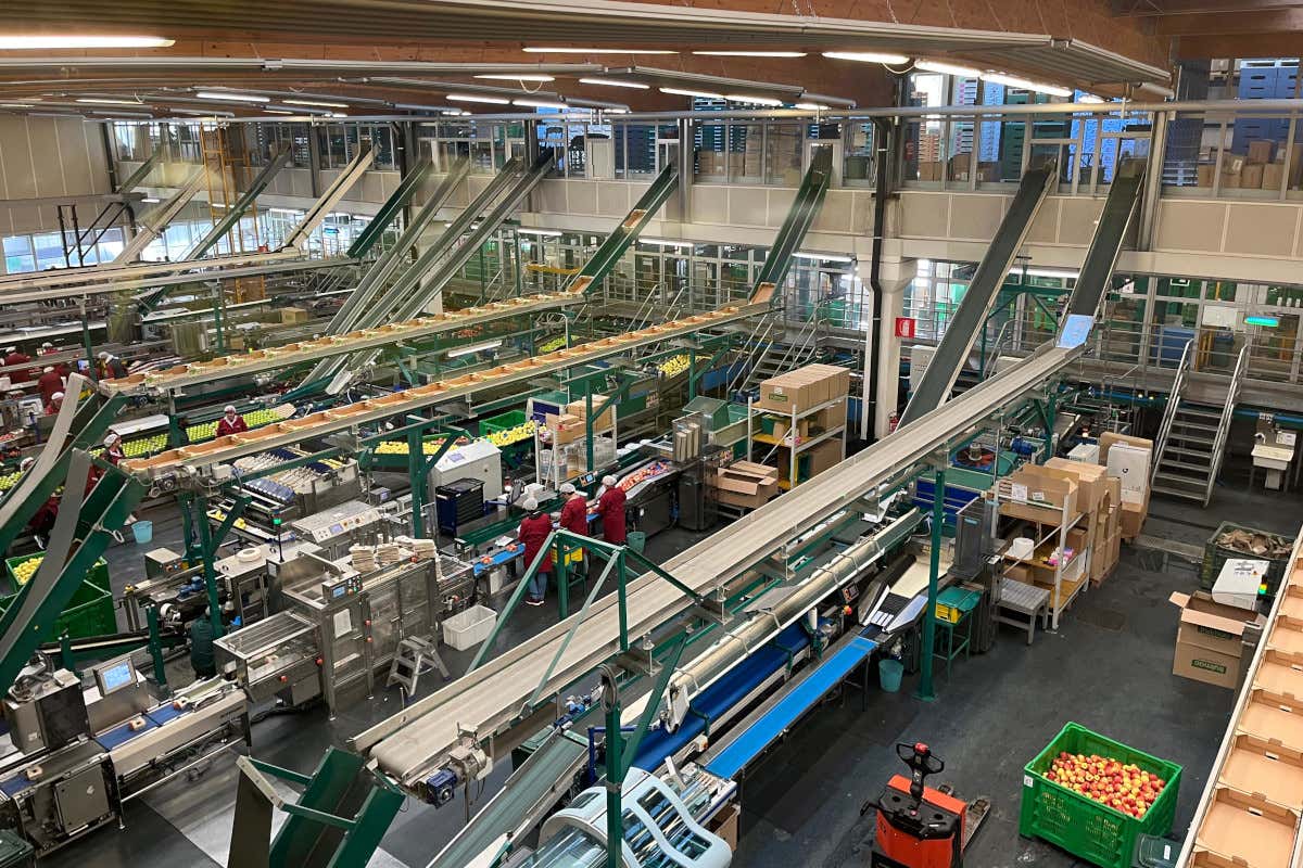 Così la Val Venosta, in Alto Adige, porta le sue mele in tutto il mondo