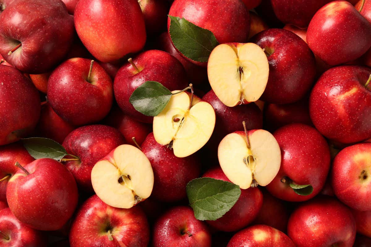 Dentro i semi di mela c’è cianuro: quanto è davvero pericoloso mangiarli?