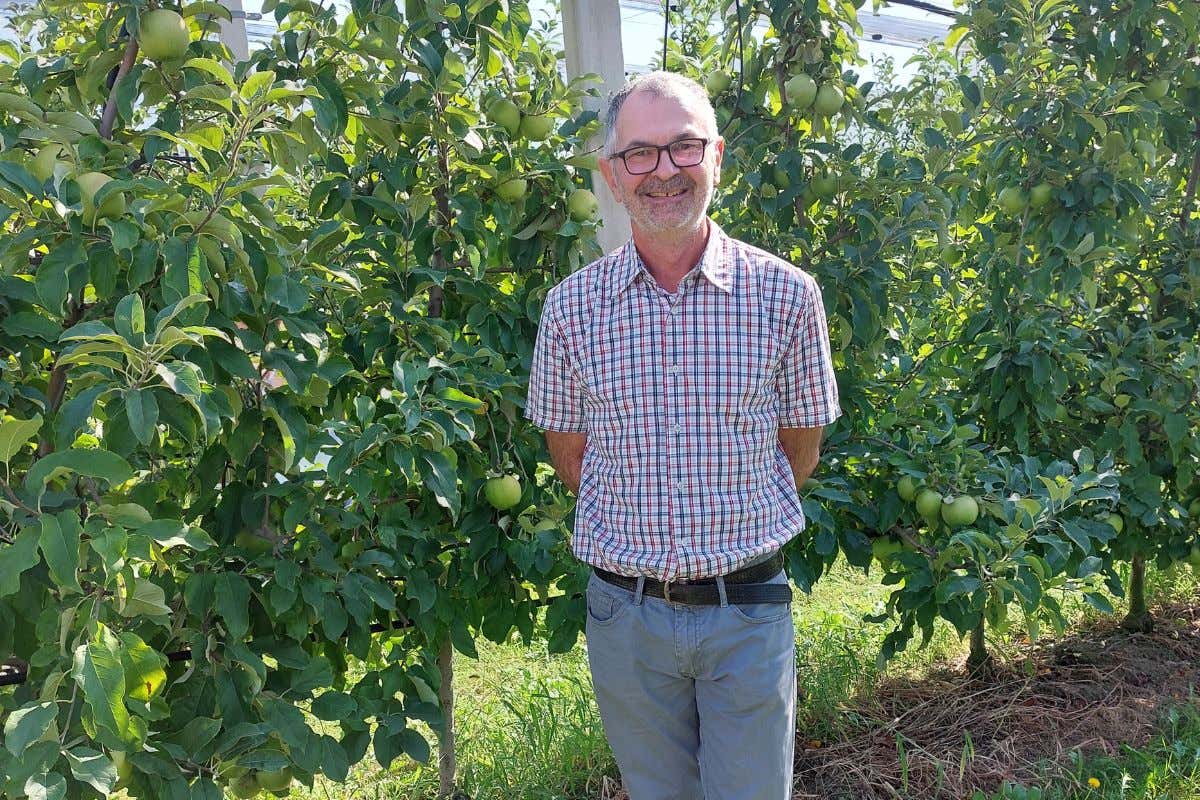 Mele di Belfiore: a Verona tutta la qualità di un prodotto d'eccellenza Mele di Belfiore: a Verona tutta la qualità di un prodotto d'eccellenza