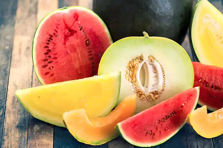 Meloni, angurie e ravanelli: l'estate si fa largo nell'ortofrutta