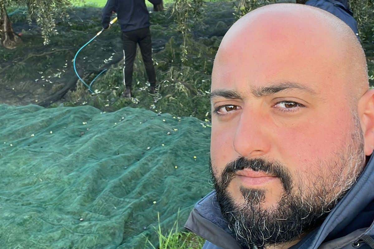 Olio extravergine: dalla Tenuta Mennella in Cilento una nuova ruralità