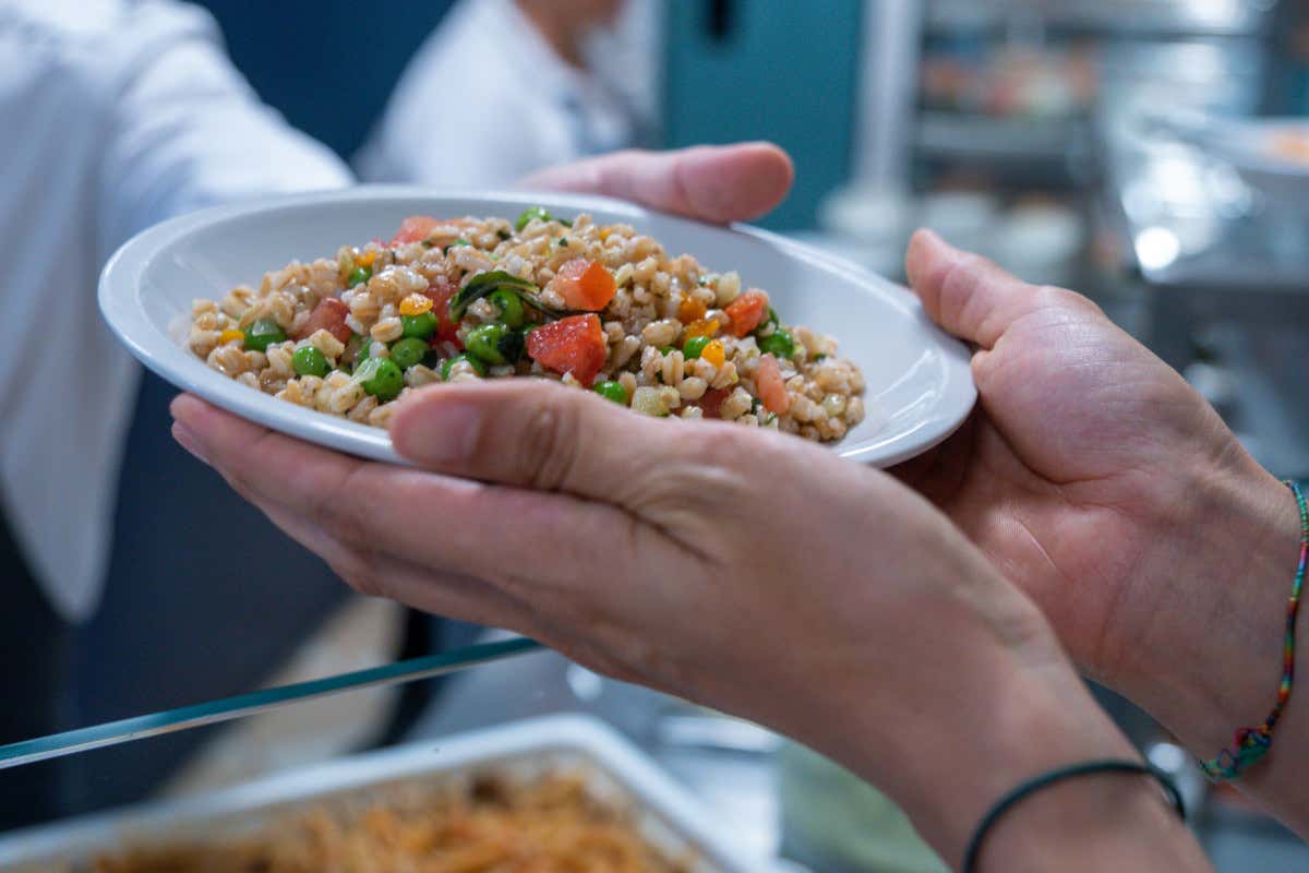 Le mense universitarie che “inquinano” meno col cibo? Pisa in testa, poi Siena Le mense universitarie che “inquinano” meno col cibo? Pisa in testa, poi Siena