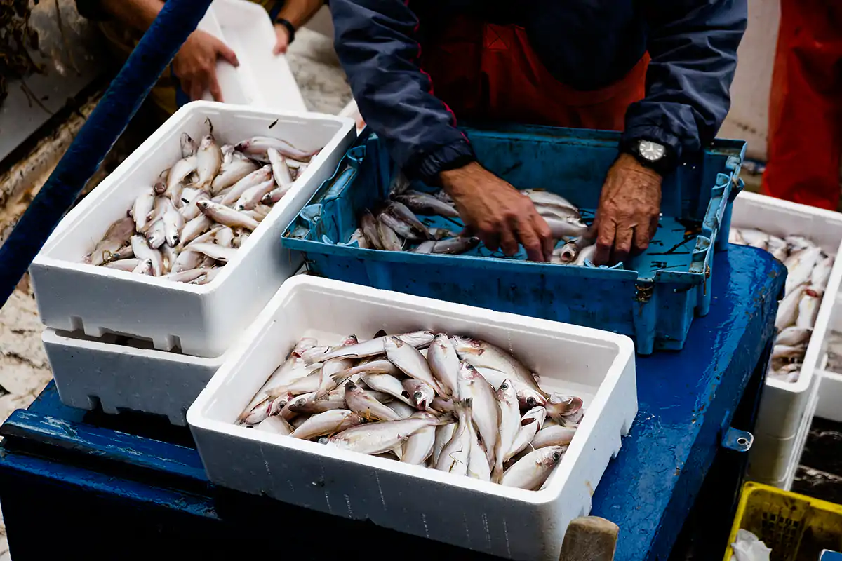Sei italiani su sette mangeranno pesce il venerd&igrave; santo Venerd&igrave; santo, le tradizioni non cambiano:anche nel 2021, menu di pesce