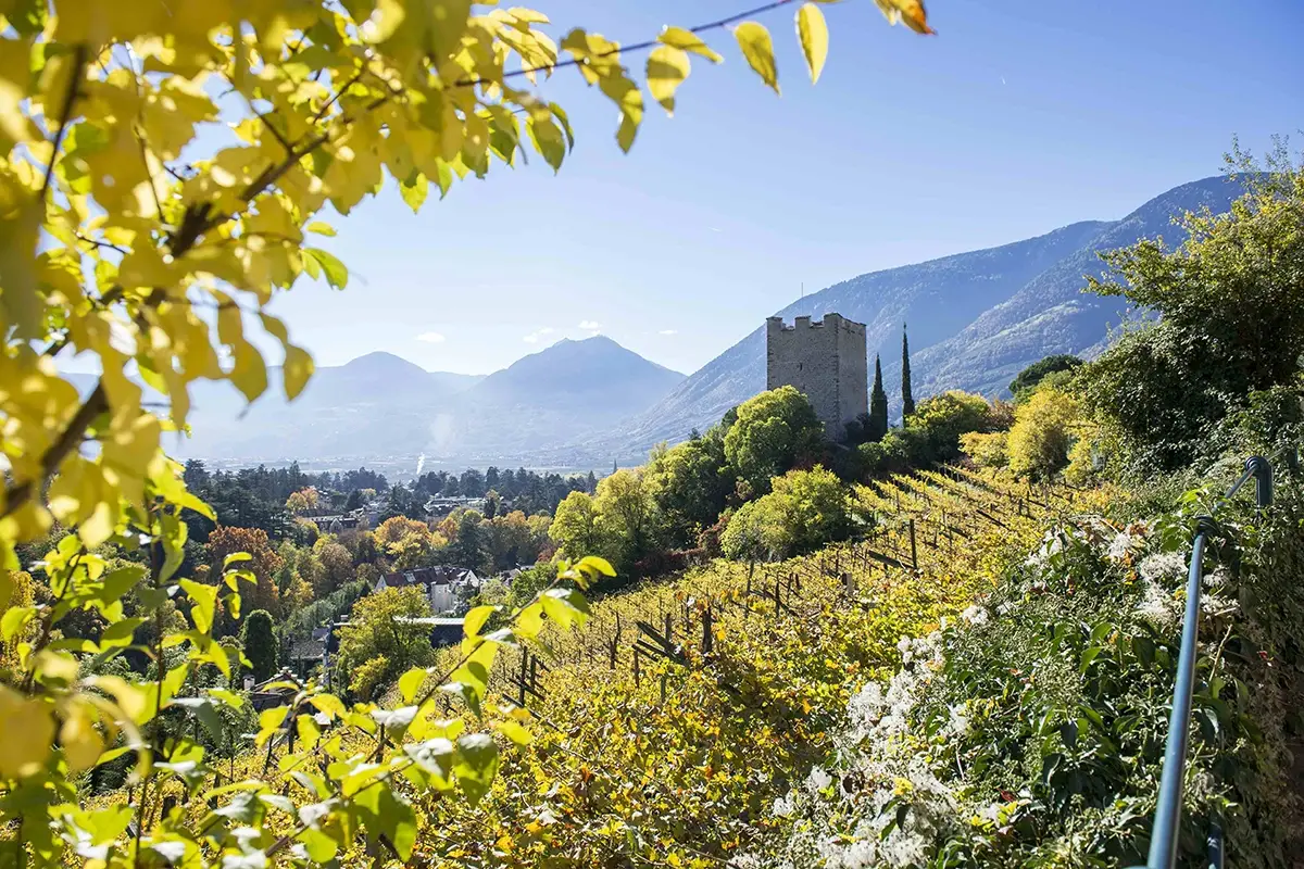 Autunno a Merano. Foto: Alex Filz Andar per locande e a fiere di vino: ecco l’autunno a Merano