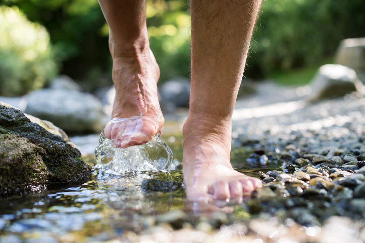 Torna Merano Vitae, iniziative e workshop dedicati al benessere Torna Merano Vitae, iniziative e workshop dedicati al benessere