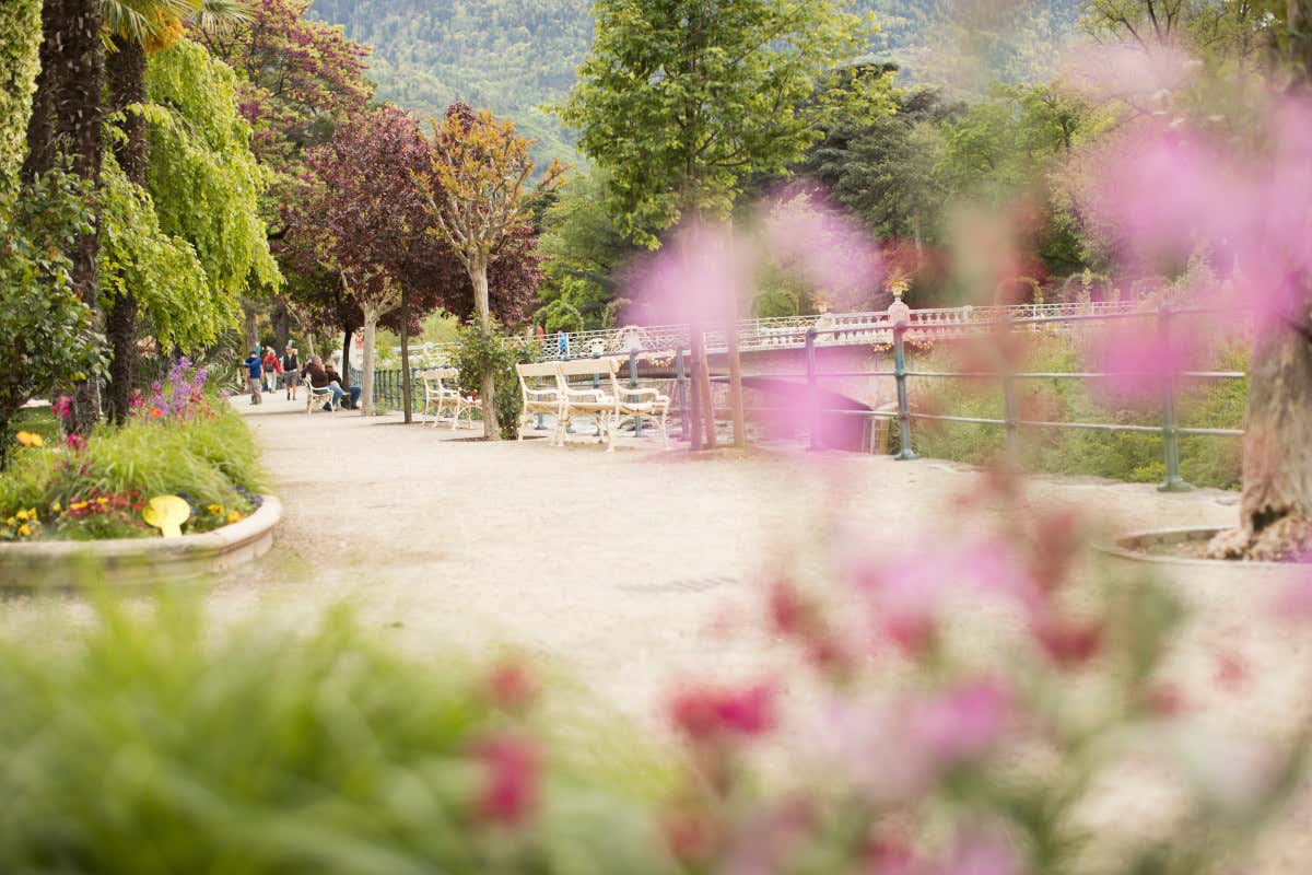 In Alto Adige la primavera è colorata: gli eventi in programma In Alto Adige la primavera è colorata: gli eventi in programma