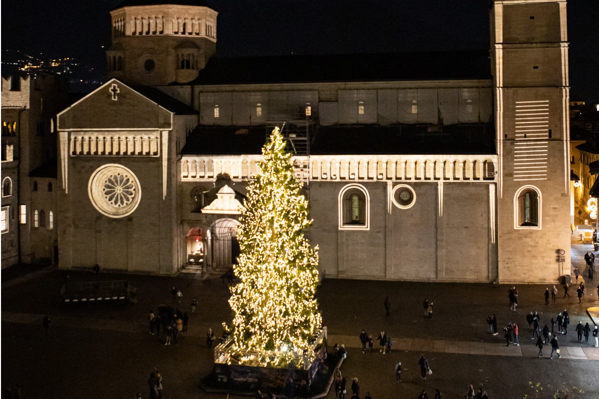 L'albero posto nella piazza del Duomo di Trento A Trento il Natale si accende... pedalando